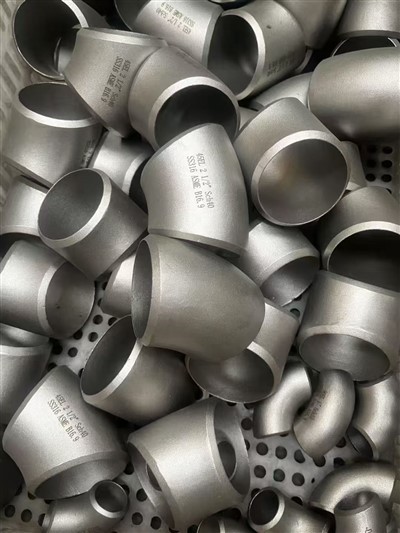 2 1/2 Pulzier SCH 40 SS 316 ASME B16.9 45deg Minkbejn