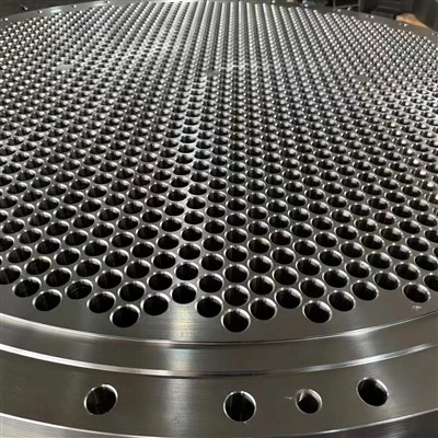 Dijametru Kbir Stainless Steel 316 Tube Sheet Flanġ